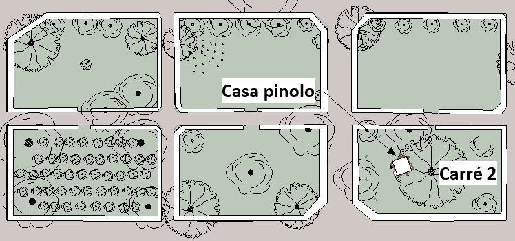 CASA PINOLO CASAPINOLO_Rome/photos/03.jpg