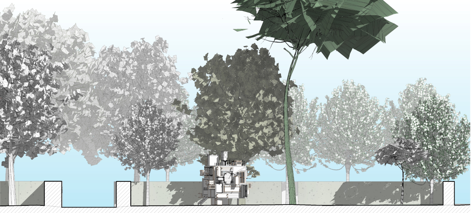 CASA PINOLO CASAPINOLO_Rome/photos/06.jpg