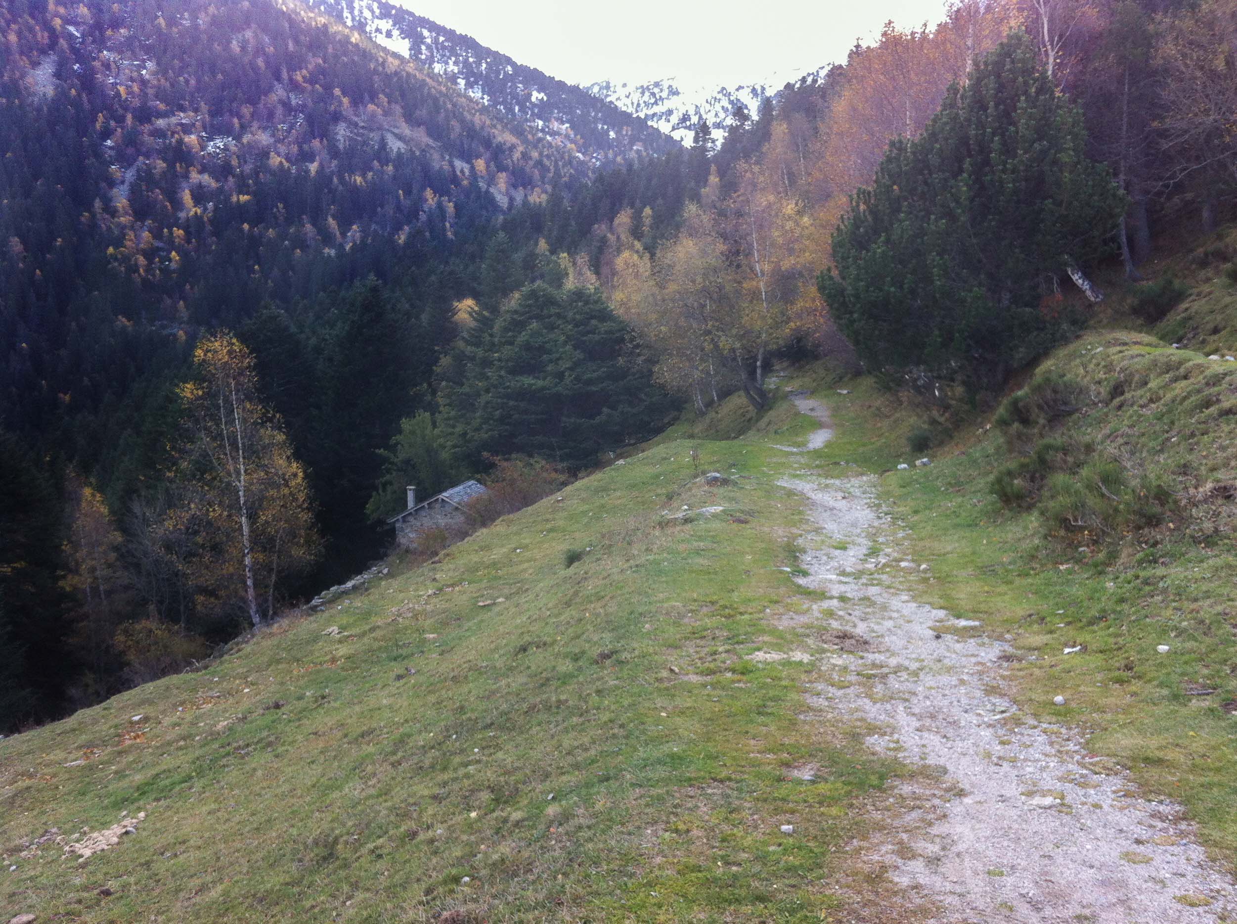 CABANE PASTORALE
DE MARIAILLES GPC_Mariailles/photos/chantier/01.jpg