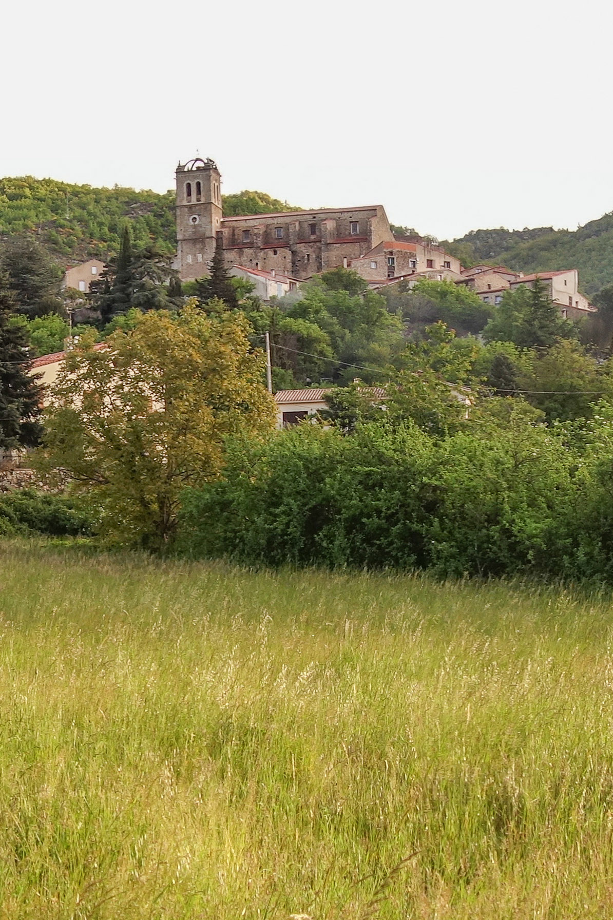 MIELLERIE
LE CHANT DES ABEILLES