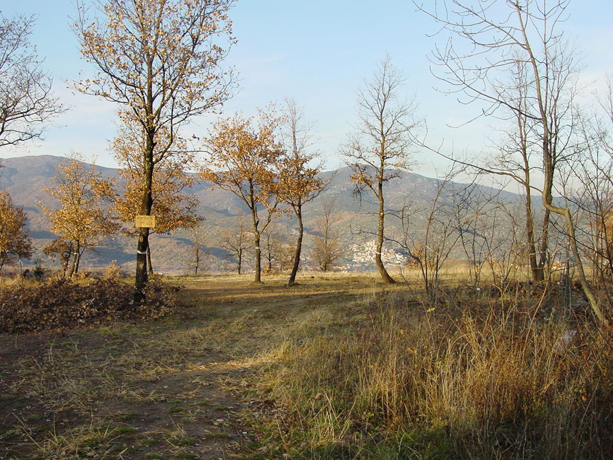 MAISON NB NEVEU_LosMasos/photos/02.jpg