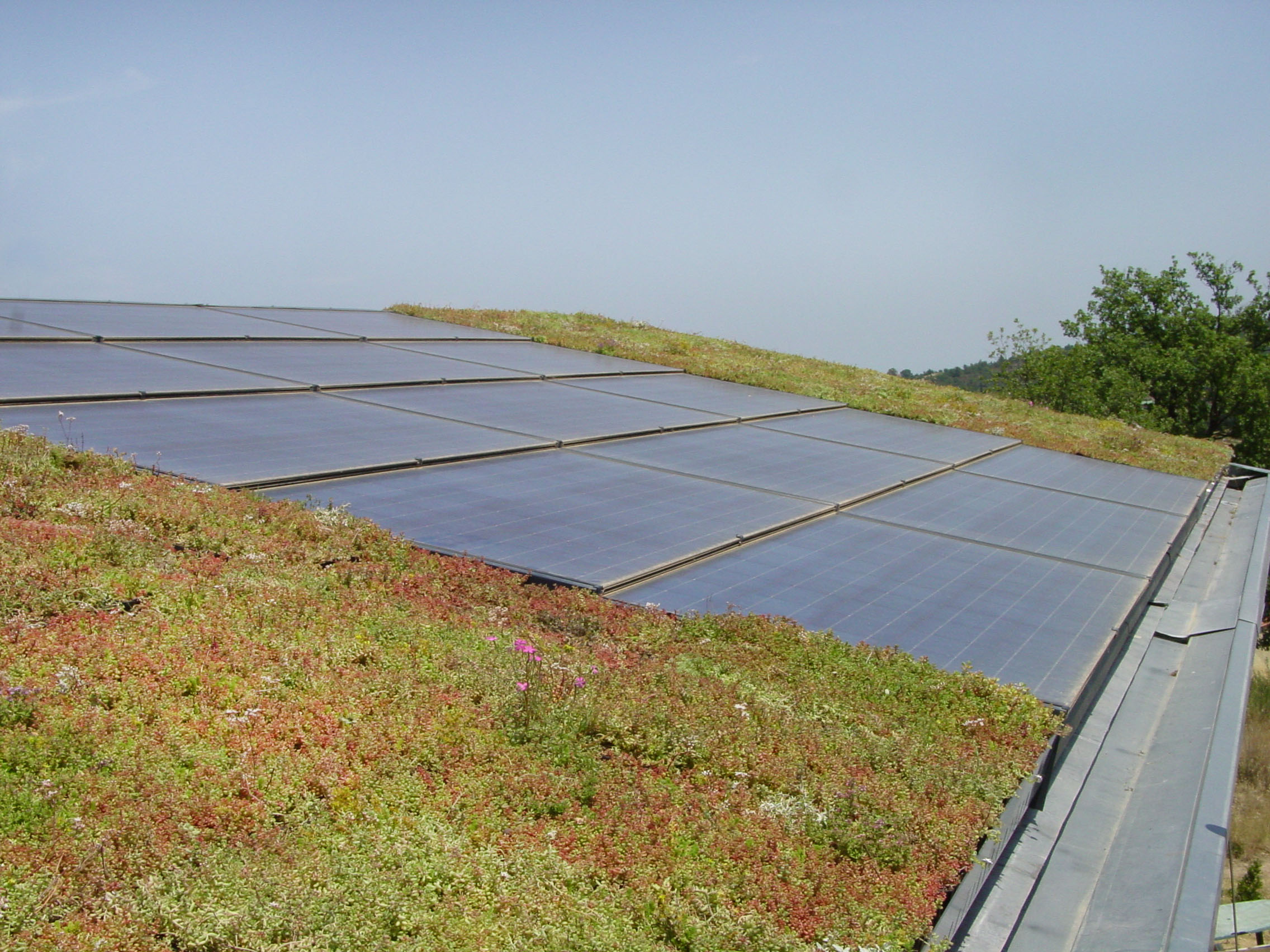 MAISON NB NEVEU_LosMasos/photos/08.jpg