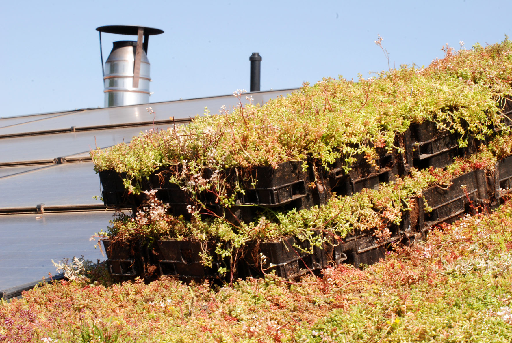 MAISON NB NEVEU_LosMasos/photos/chantier/09.JPG